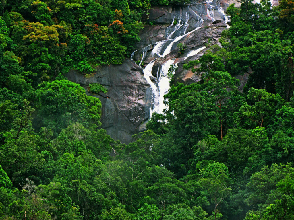 A waterfall of Telaga Tujuh Waterfall Langkawi in the forest